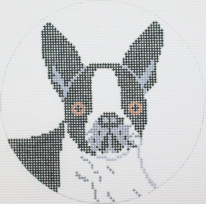 Boston Terrier