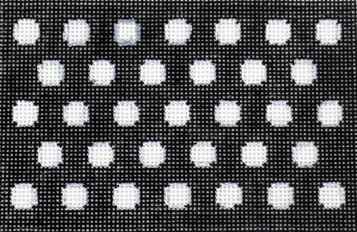 Polka Dots-Black Passport Cover