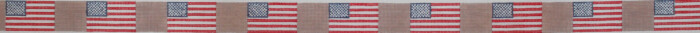 American Flag-Khaki