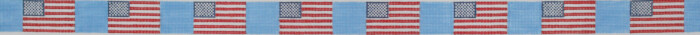 American Flag-Pale Blue