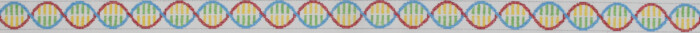 DNA Strand-Long Version