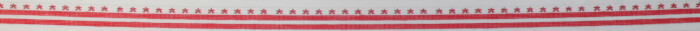 Washington DC Flag