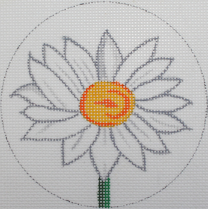 Daisy